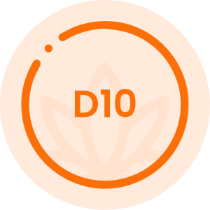 D10 - 04