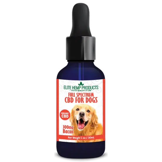 CBD Dog Tincture 300mg Bacon