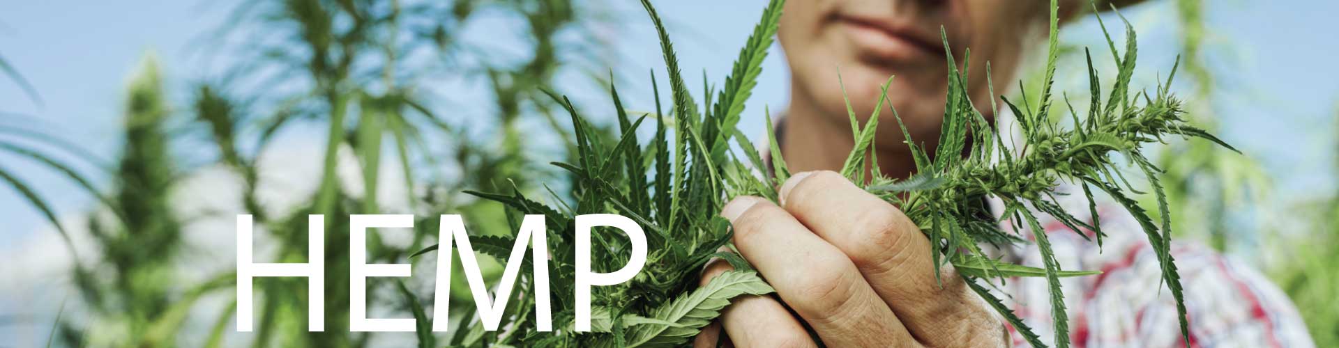 hemp-products